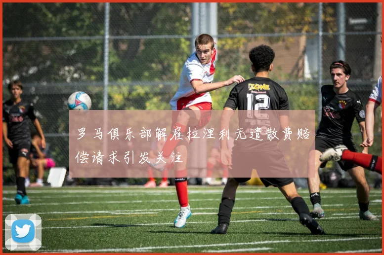 罗马俱乐部解雇拉涅利无遣散费赔偿请求引发关注