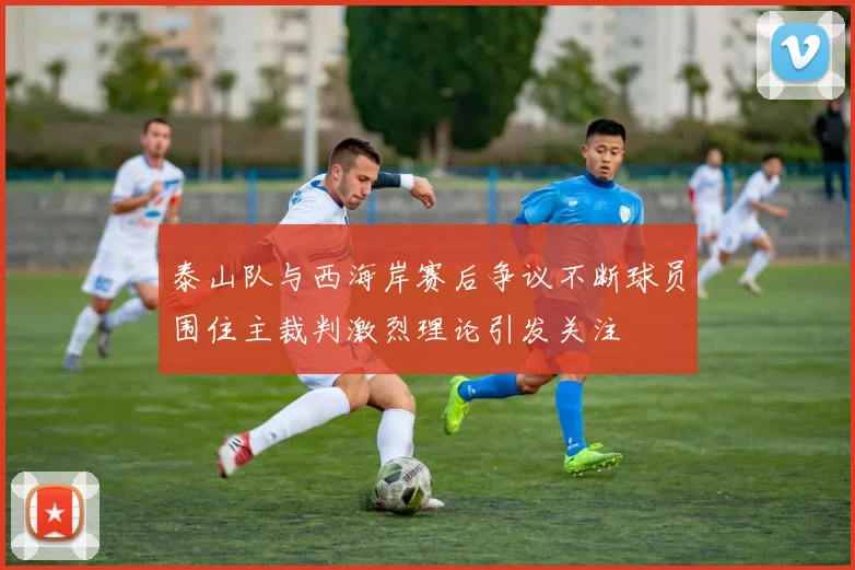 泰山队与西海岸赛后争议不断球员围住主裁判激烈理论引发关注